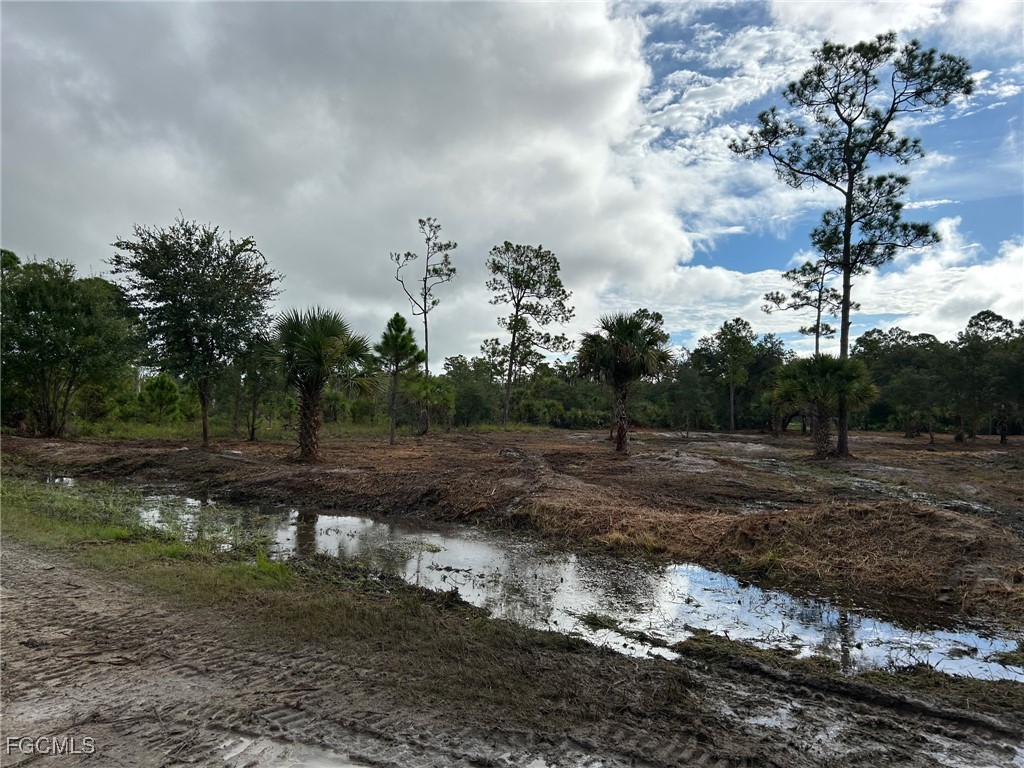 565 S Datil Street Clewiston FL 33440 2025007483 image3