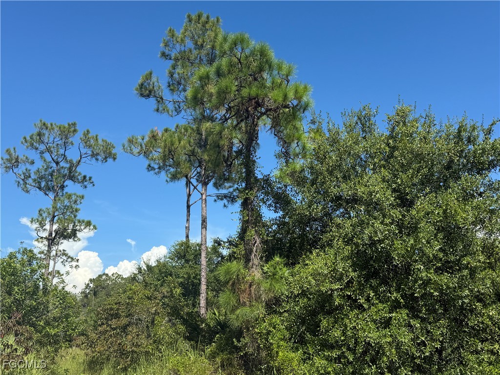 565 S Datil Street Clewiston FL 33440 2025007483 image4