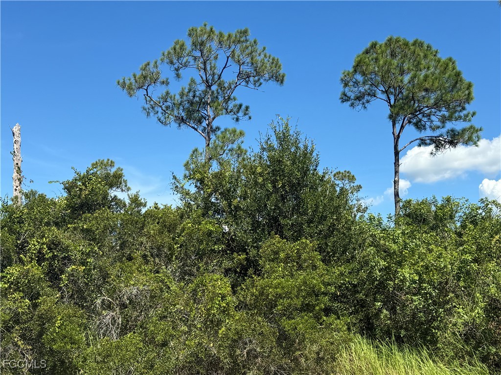 565 S Datil Street Clewiston FL 33440 2025007483 image6