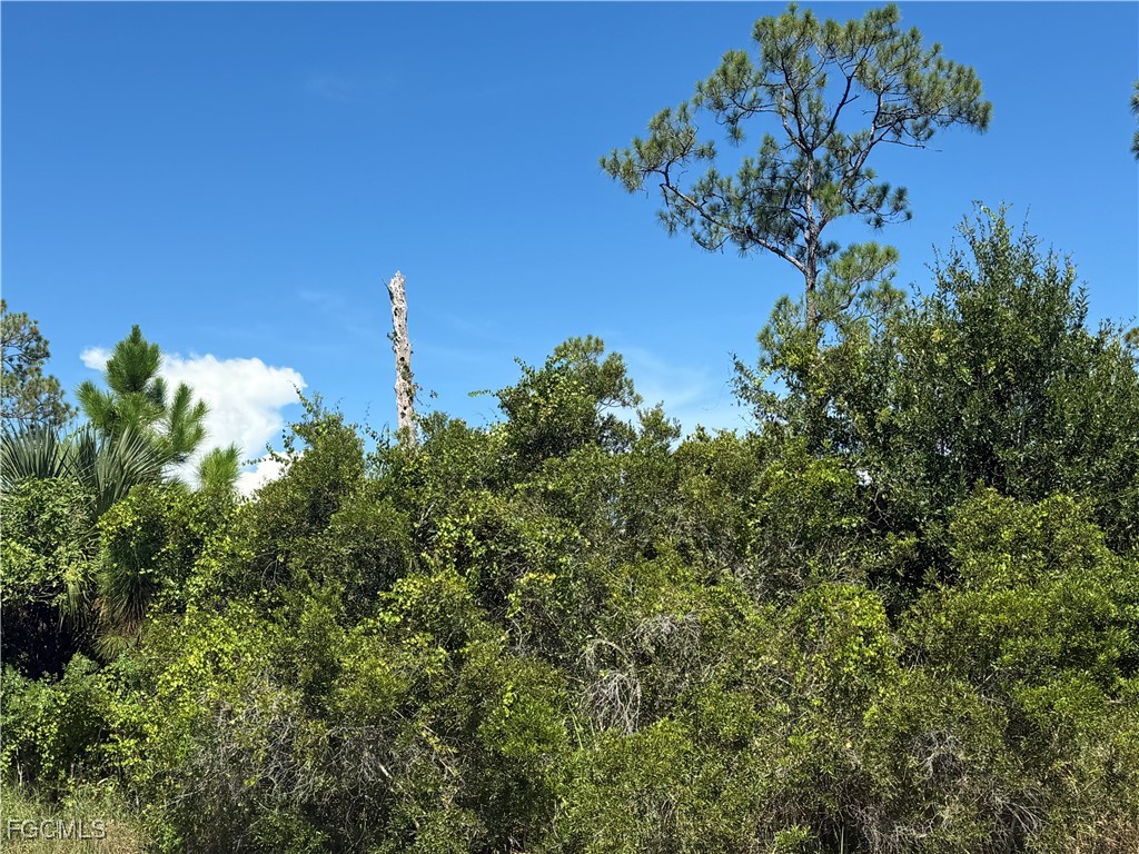 565 S Datil Street Clewiston FL 33440 2025007483 image7