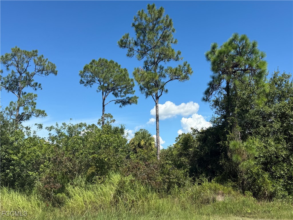 565 S Datil Street Clewiston FL 33440 2025007483 image8