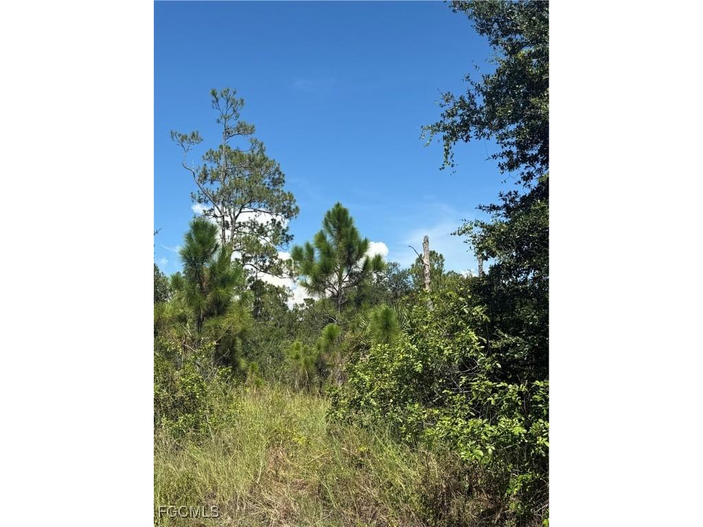 565 S Datil Street Clewiston FL 33440 2025007483 image9