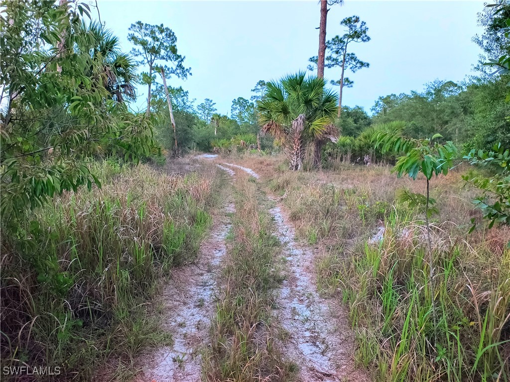 565 S Datil Street Clewiston FL 33440 225052126 image1