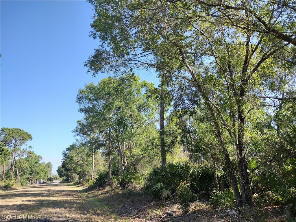 565 S Shetland Street Montura Ranches FL 33440 223017535 image1