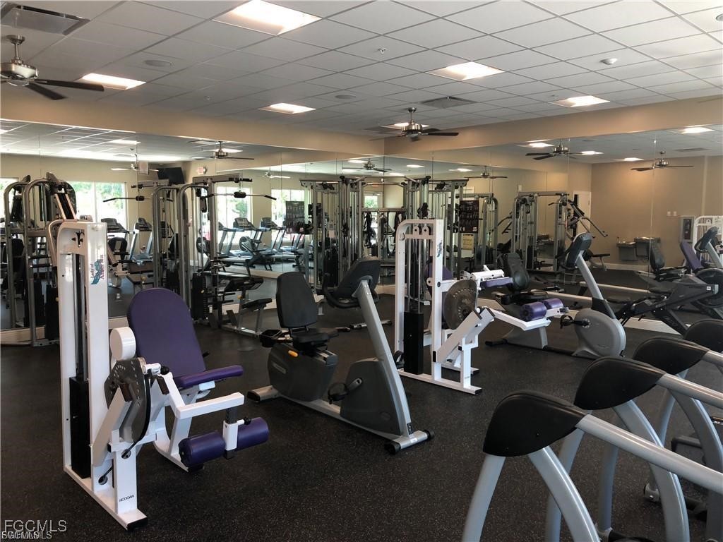 5650 Trailwinds Drive #122 Fort Myers FL 33907 2025008328 image21