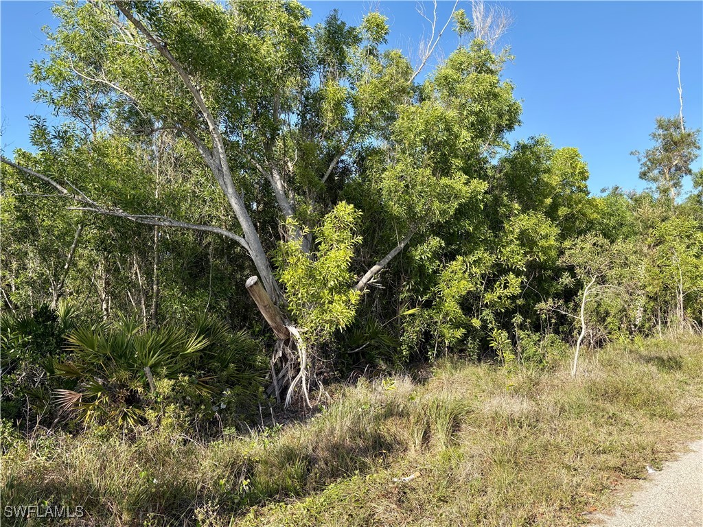 5664 Sandal Lane Bokeelia FL 33922 225037754 image1