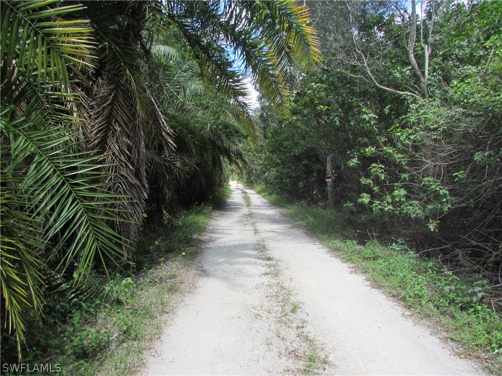 5665 Little House Lane NW Bokeelia FL 33922 222036531 image1