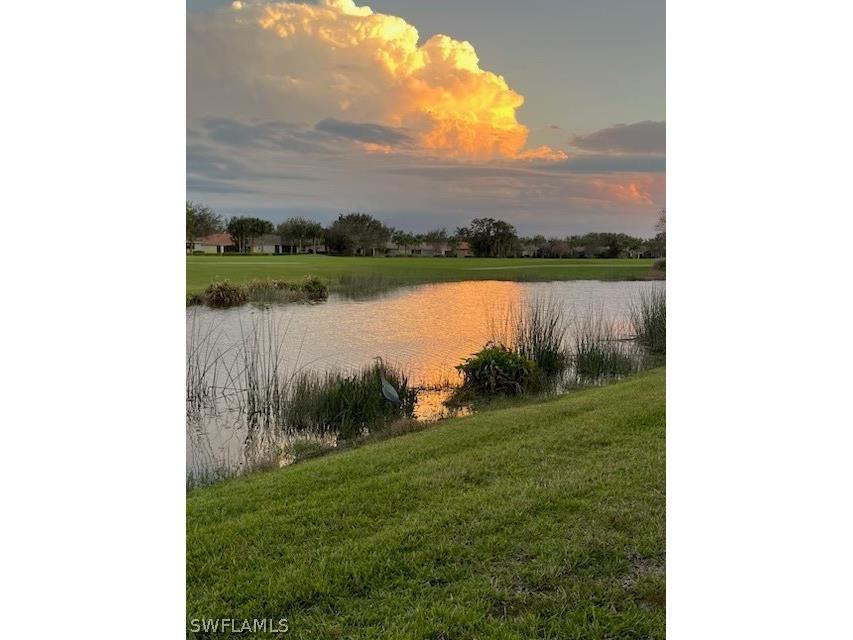 5686 Mayflower Way #702 Ave Maria FL 34142 226008448 image4