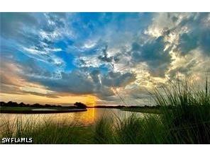 5686 Mayflower Way #702 Ave Maria FL 34142 226008448 image50