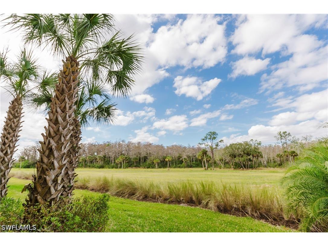 5697 Mayflower Way #1202 Ave Maria FL 34142 226021852 image27