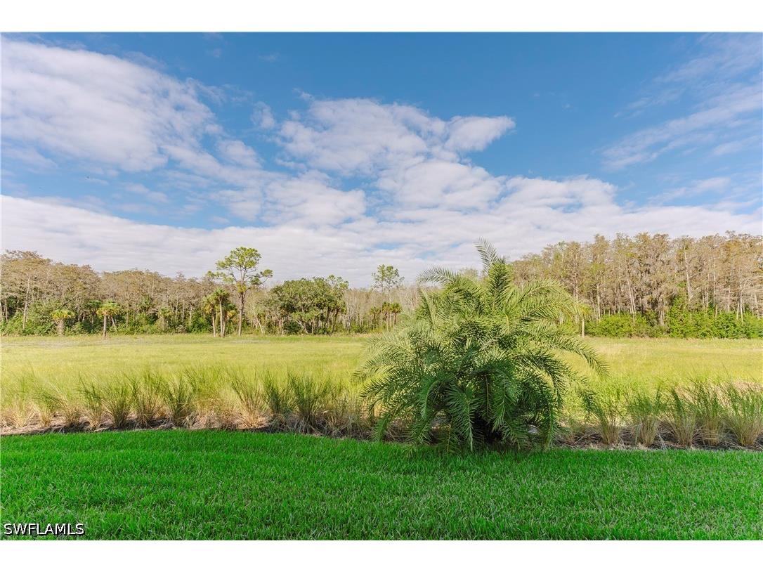 5697 Mayflower Way #1202 Ave Maria FL 34142 226021856 image29