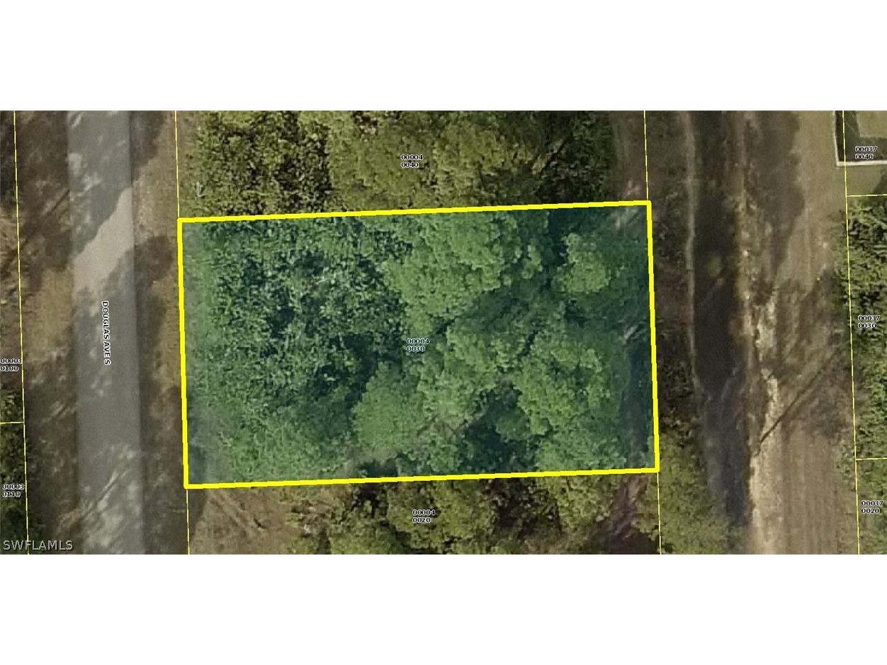 57 Douglas Avenue S Lehigh Acres FL 33976 224022197 image1
