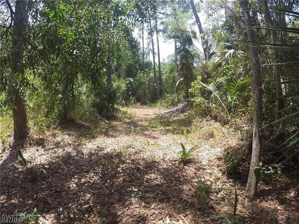 5700 Cedar Tree Lane Naples FL 34116 225074554 image5