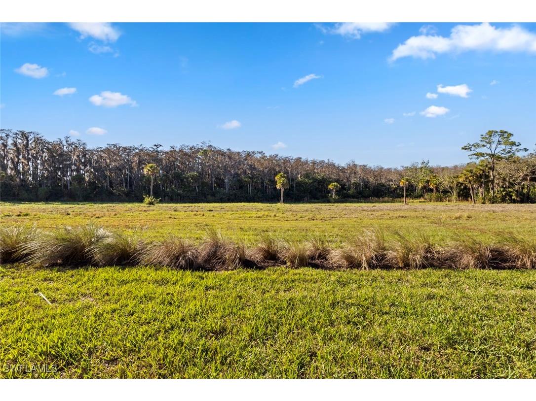 5701 Mayflower Way #1302 Ave Maria FL 34142 226004872 image25