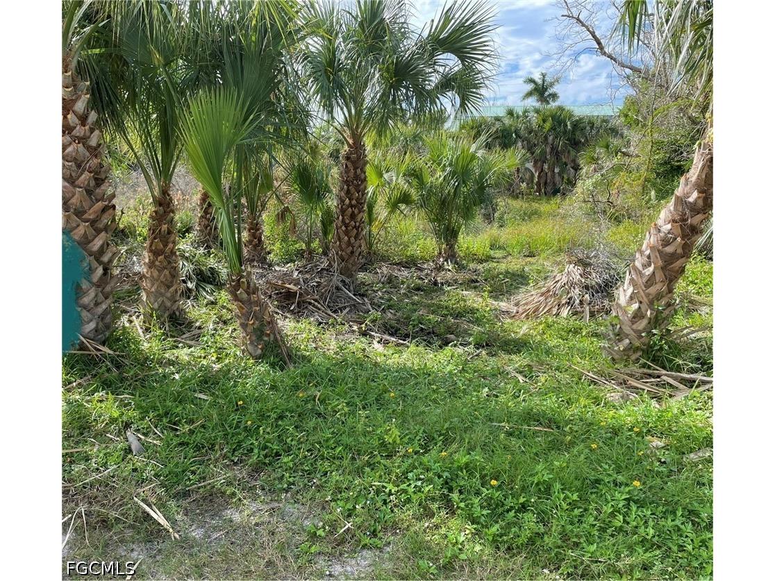 575 Sea Oats Drive Sanibel FL 33957 2026029249 image10