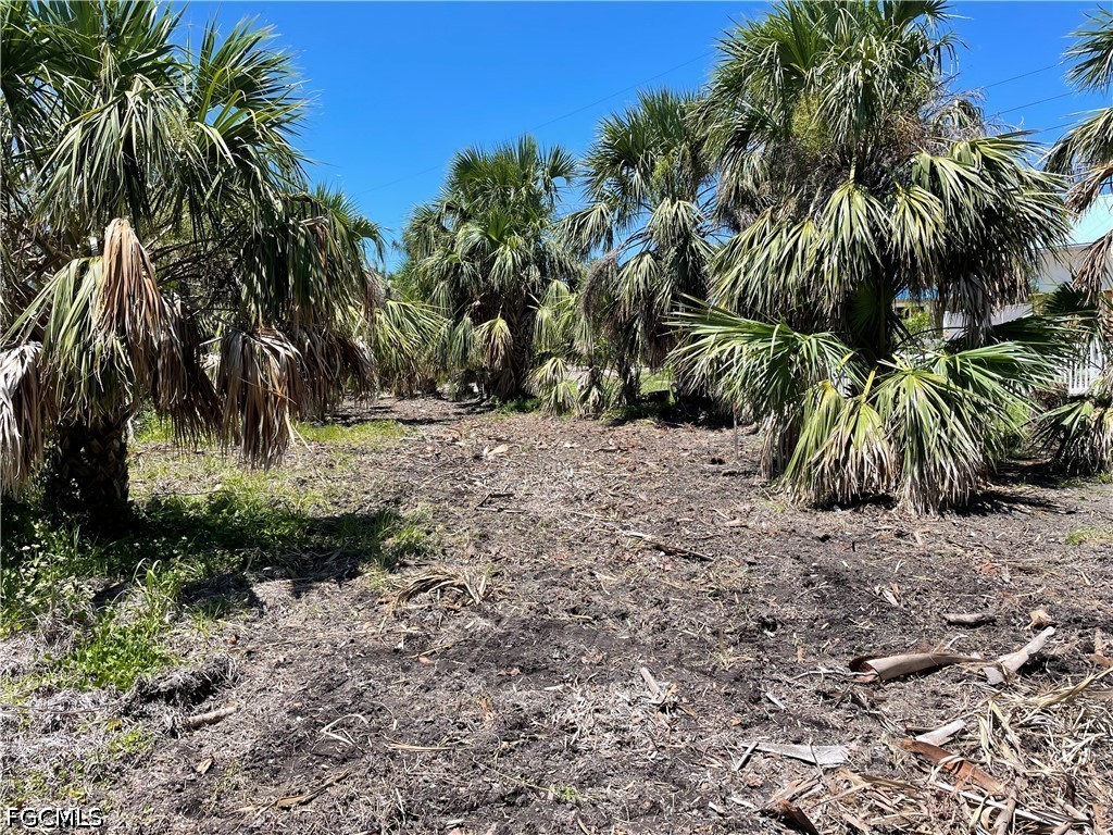 575 Sea Oats Drive Sanibel FL 33957 2026029249 image4