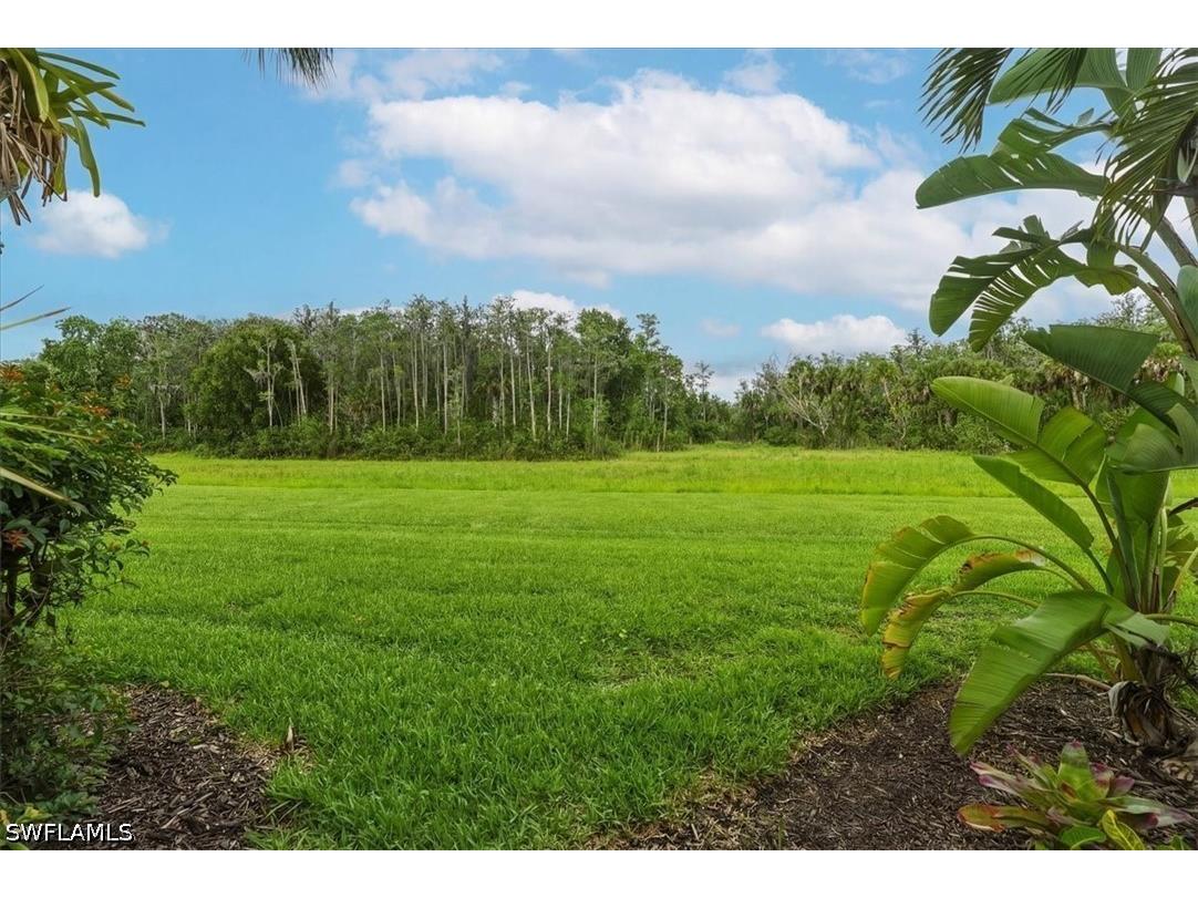 5769 Mayflower Way Ave Maria FL 34142 226014037 image26