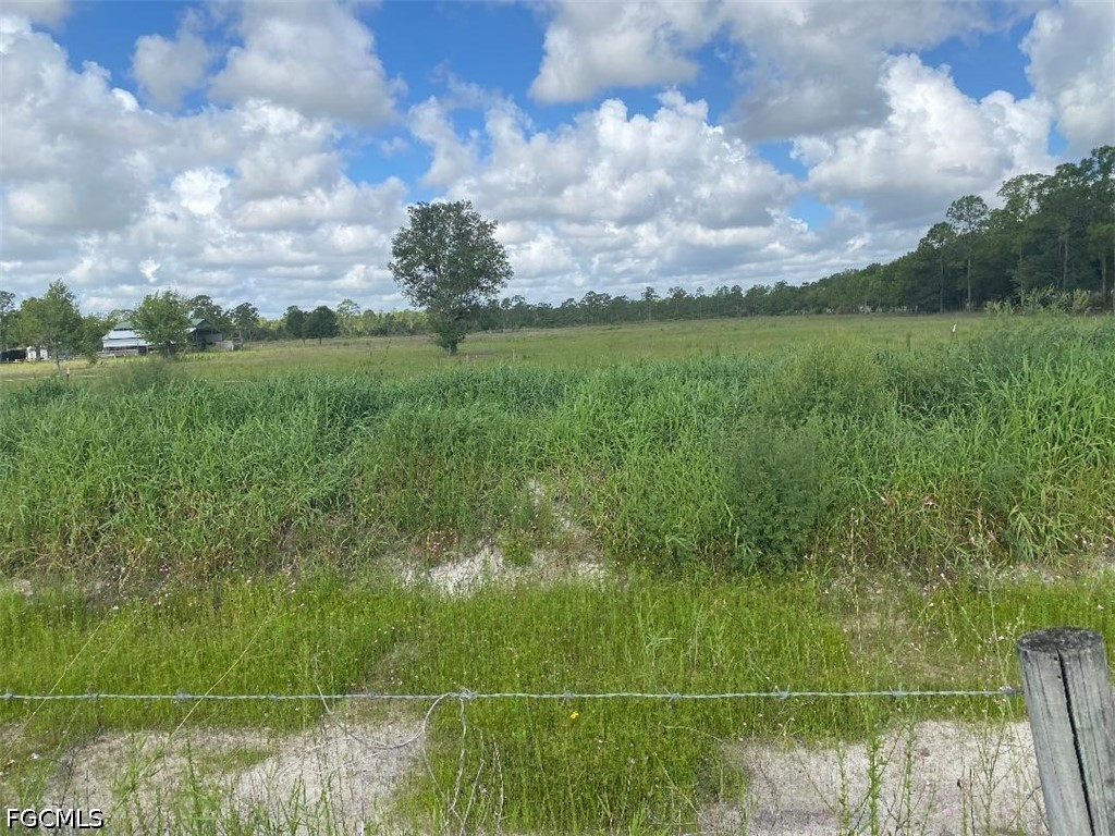 577 Kirby Thompson Road Fort Denaud FL 33935 2026022832 image2