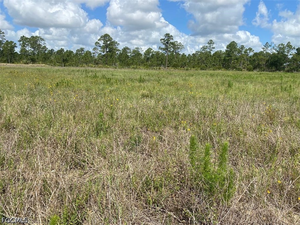 577 Kirby Thompson Road Fort Denaud FL 33935 2026022832 image4