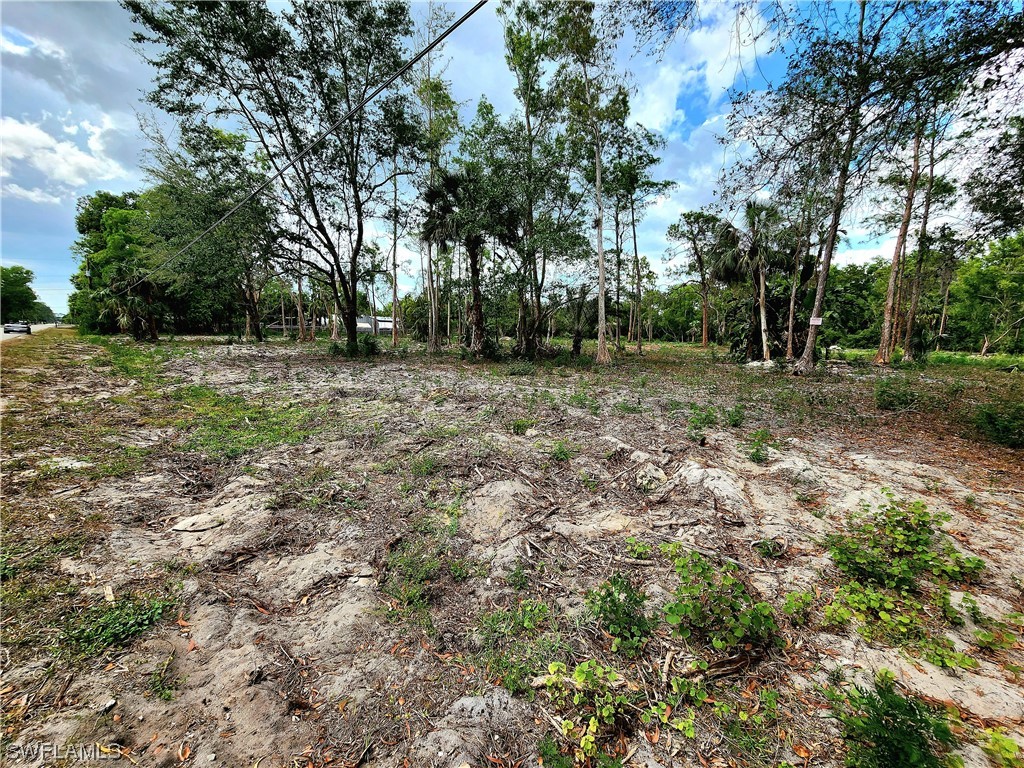 5771 Cedar Tree Lane Naples FL 34116 223025099 image1