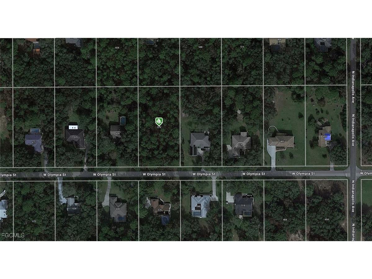 579 W Olympia Street Hernando FL 34442 2025007648 image1