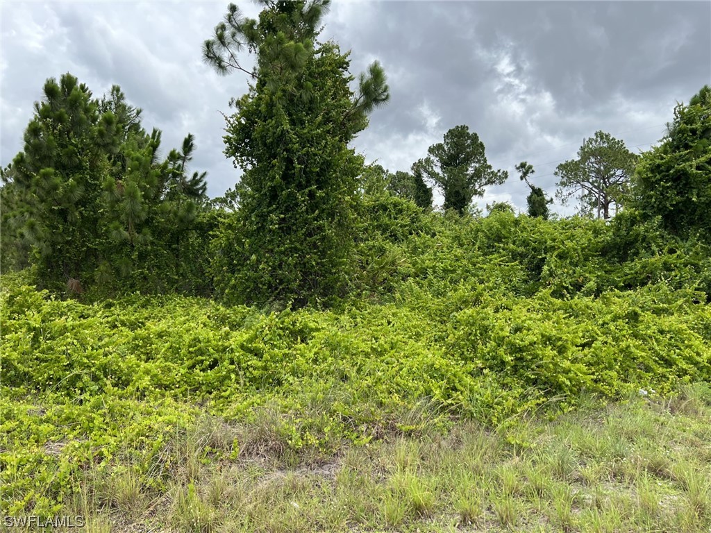58 Curtis Avenue S Lehigh Acres FL 33976 223044803 image1