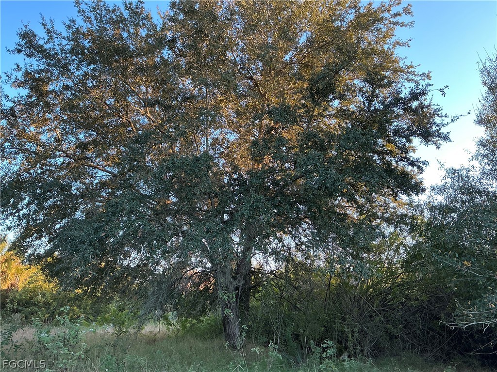 5801 4th Road Labelle FL 33935 2026013483 image1