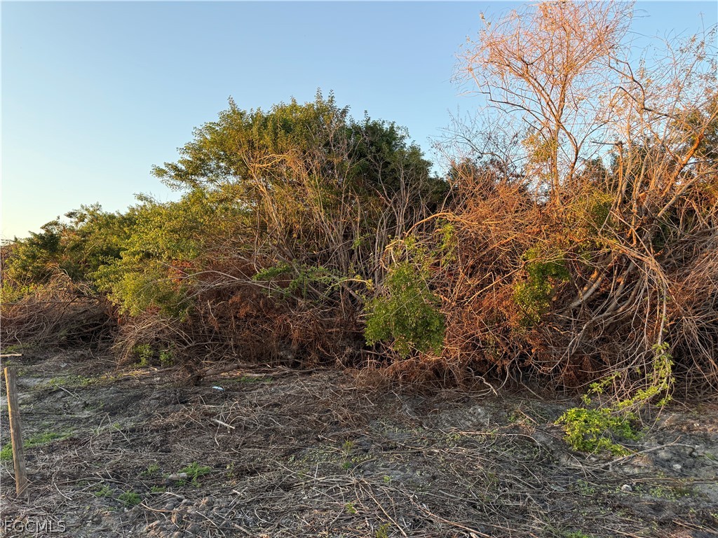 5801 4th Road Labelle FL 33935 2026013483 image4