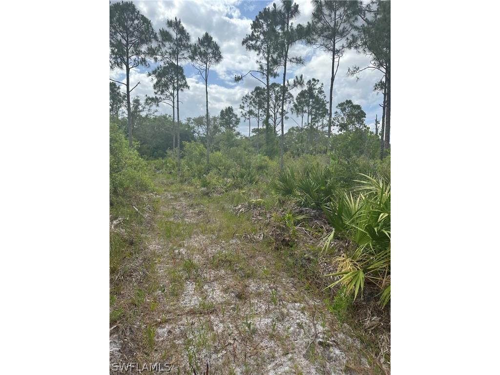 5833 Stewart Lane Labelle FL 33935 224038585 image1