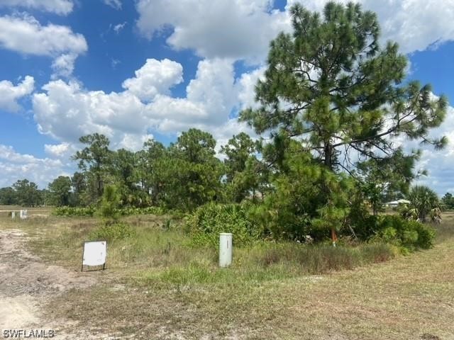 585-587 Alabama Road S Lehigh Acres FL 33974 223067657 image1