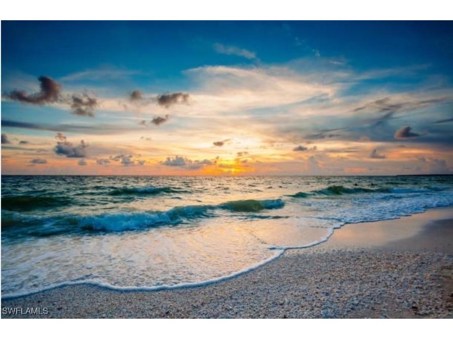 5858 Star Grass Lane Naples FL 34116 226004617 image32
