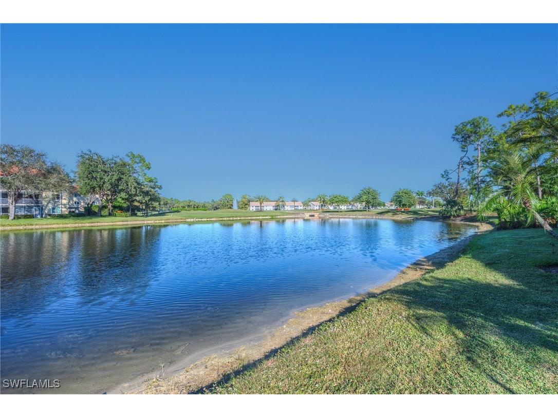 5875 Cobblestone Lane #D105 Naples FL 34112 225079576 image31