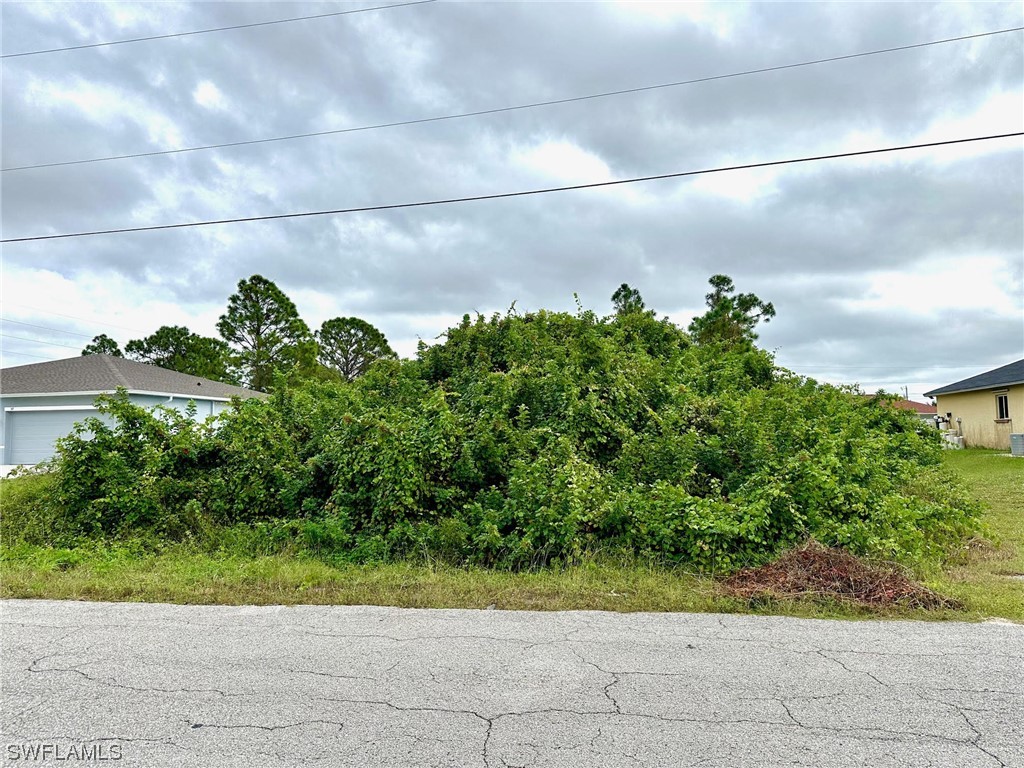 59 Donald Avenue S Lehigh Acres FL 33976 223085098 image1