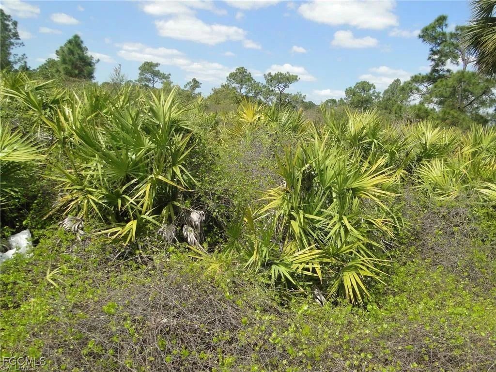 5902 Queen Avenue N Lehigh Acres FL 33971 2025019957 image5