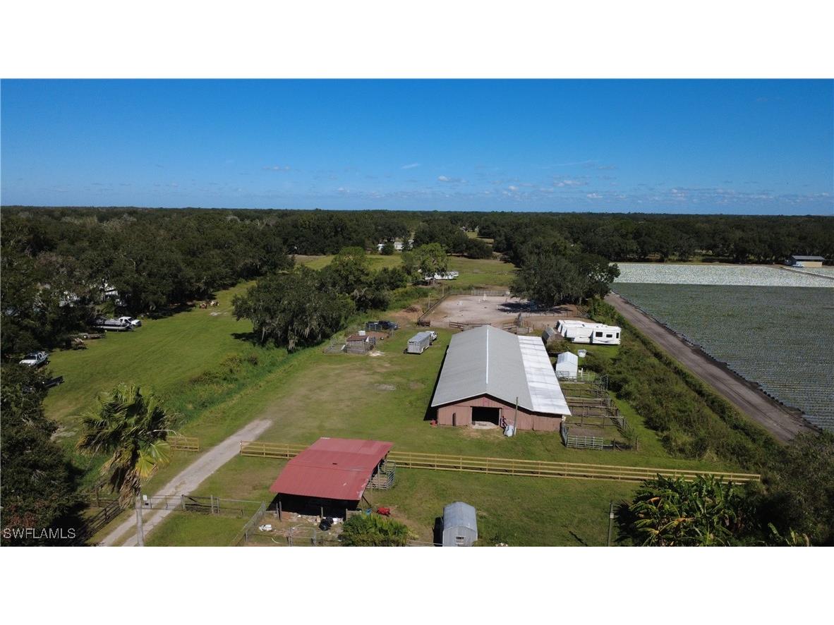 5902 Thonotosossa Road Plant City FL 33565 225077409 image24