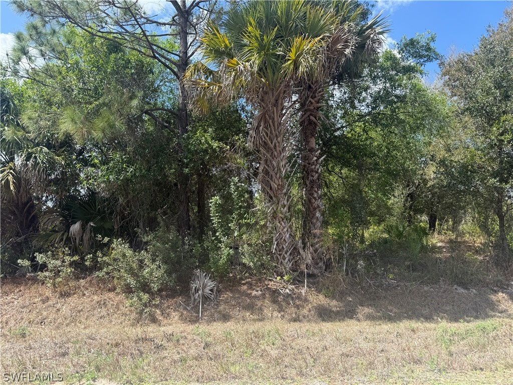 5905 Sally Avenue N Lehigh Acres FL 33971 226011331 image1