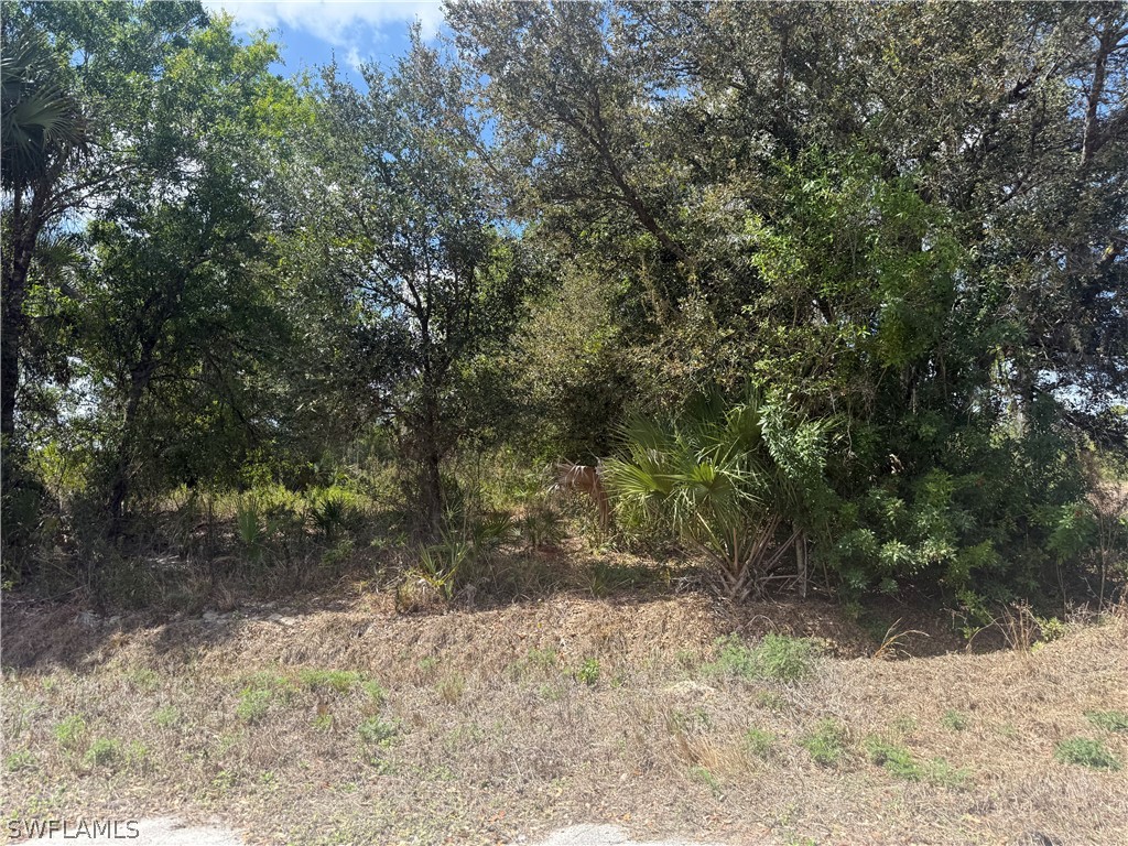 5905 Sally Avenue N Lehigh Acres FL 33971 226011331 image2