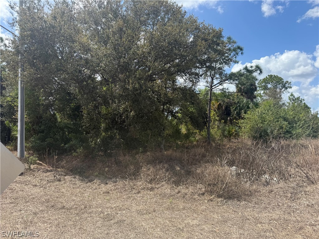 5905 Sally Avenue N Lehigh Acres FL 33971 226011331 image3