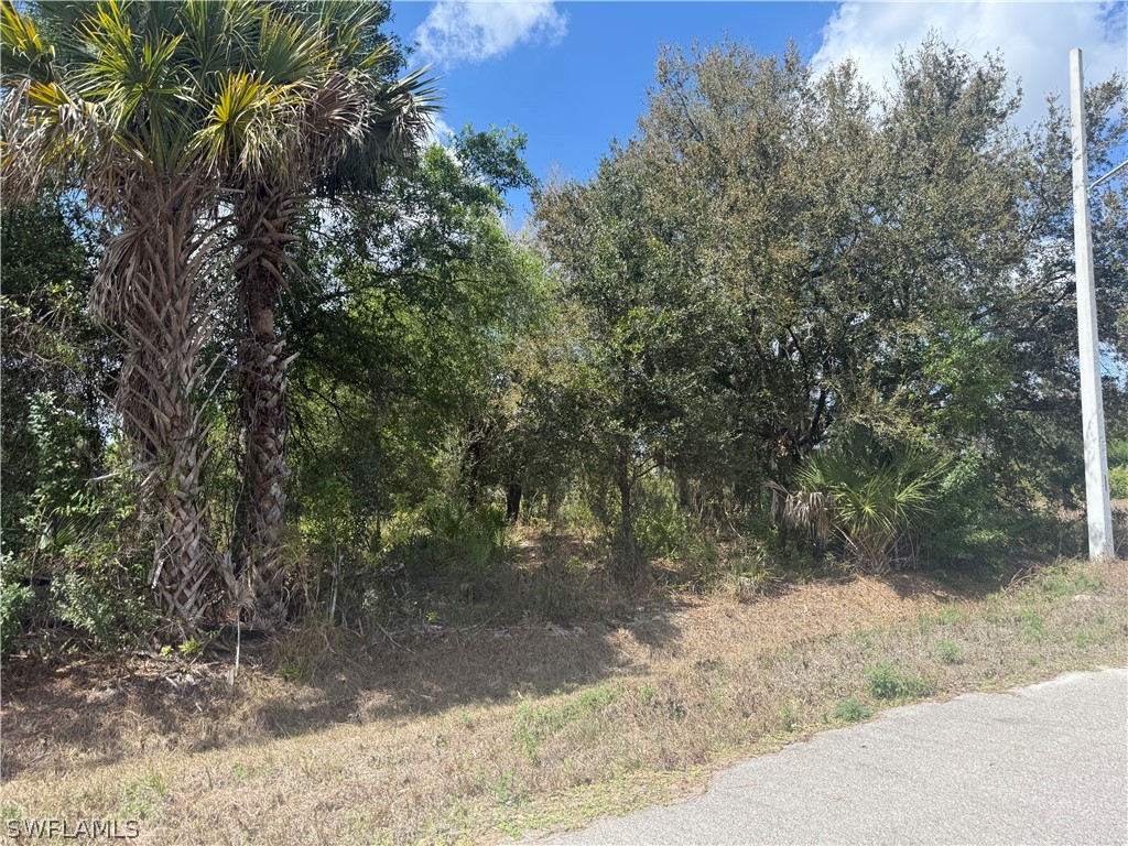 5905 Sally Avenue N Lehigh Acres FL 33971 226011331 image4