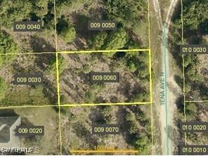 5905 Tena Avenue N Lehigh Acres FL 33971 225083255 image1