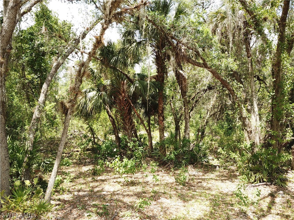 5920 Hidden Hammock Drive Fort Denaud FL 33935 222031837 image1