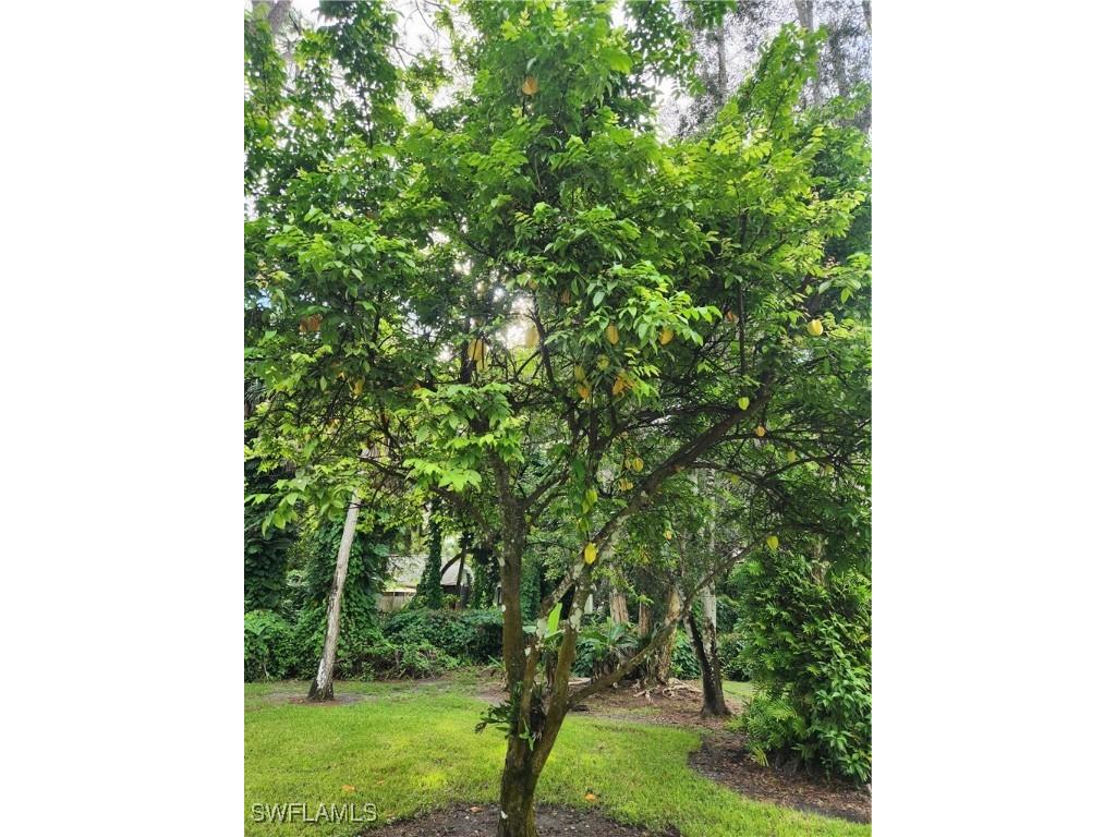 5930 Spanish Oaks Lane Naples FL 34119 225070418 image34