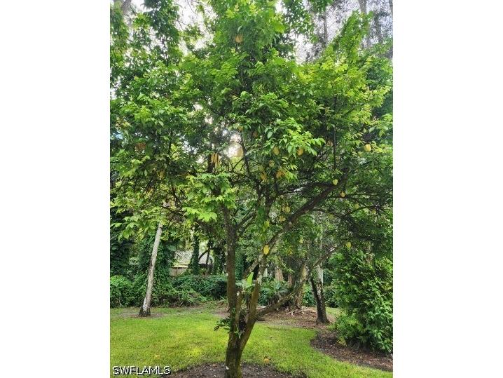 5930 Spanish Oaks Lane Naples FL 34119 226016695 image31