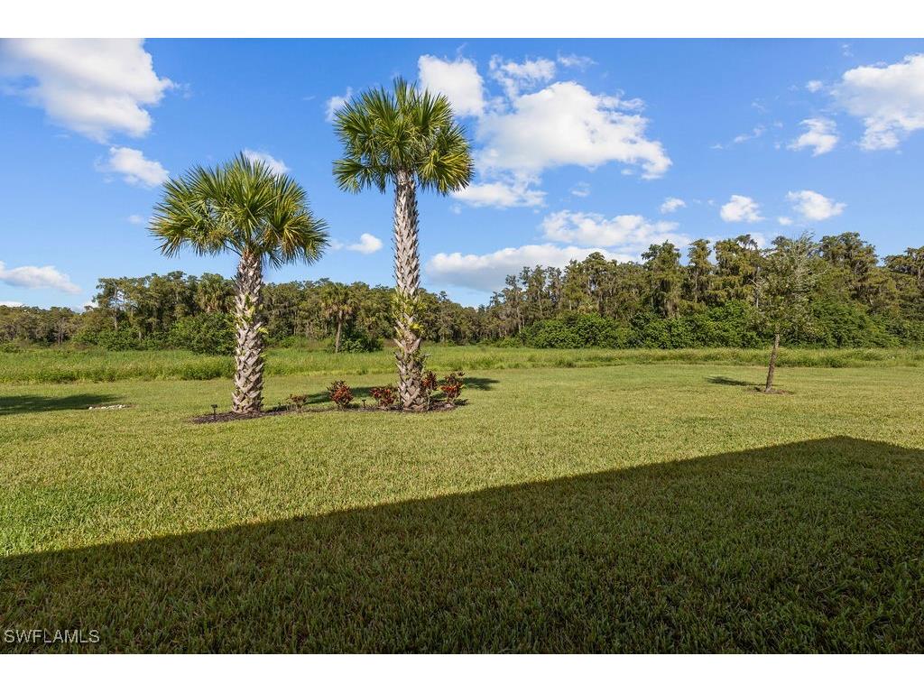 5931 Mayflower Way Ave Maria FL 34142 225073738 image24