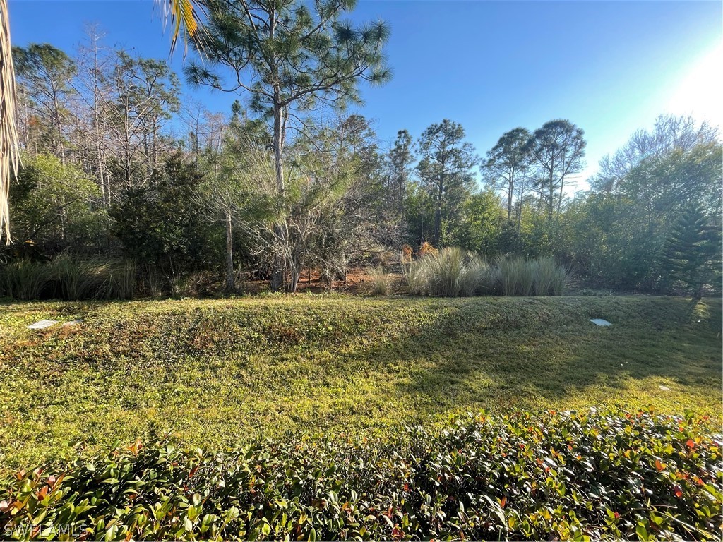5935 Brightwood Drive Fort Myers FL 33905 226007051 image13