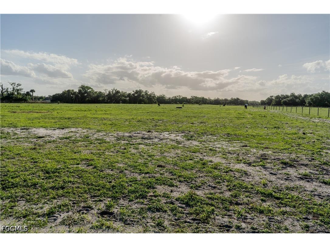 595 Norris Rd Labelle FL 33935 2026017876 image16
