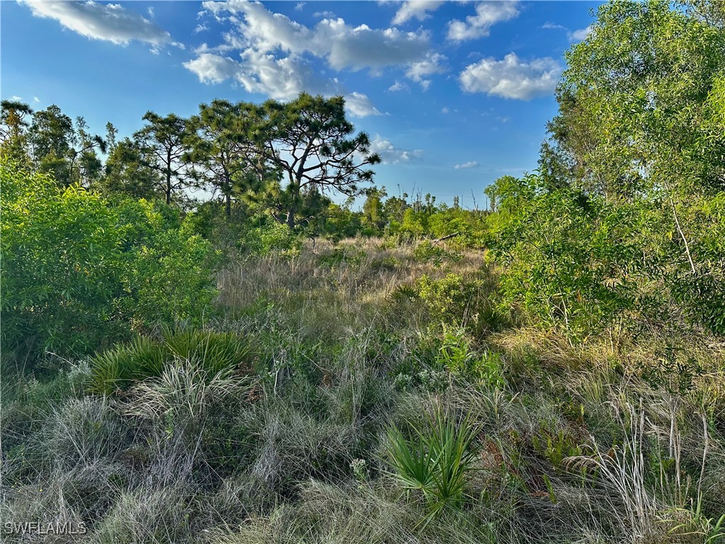 5950 Sandal Lane Bokeelia FL 33922 225040372 image1