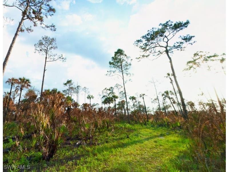  Immokalee FL 34142 225077776 image6