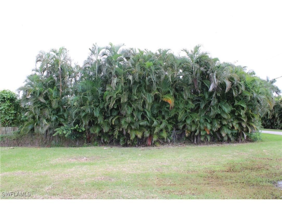6 Spoonbill Avenue Everglades City FL 34139 225073639 image8