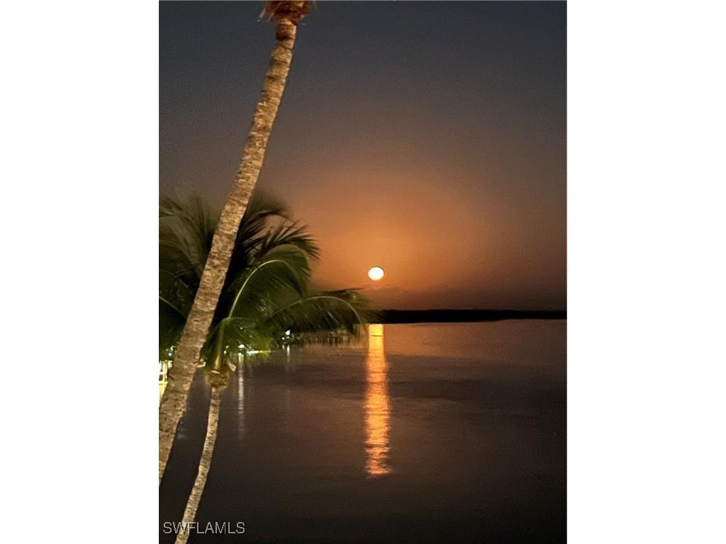 60 Pelican Street W #505 Naples FL 34113 226002160 image33